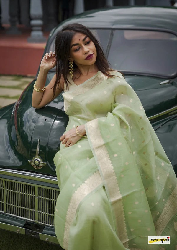 Elegant Banarasi Silk Saree with Gold Zari Embellishments Pista Green