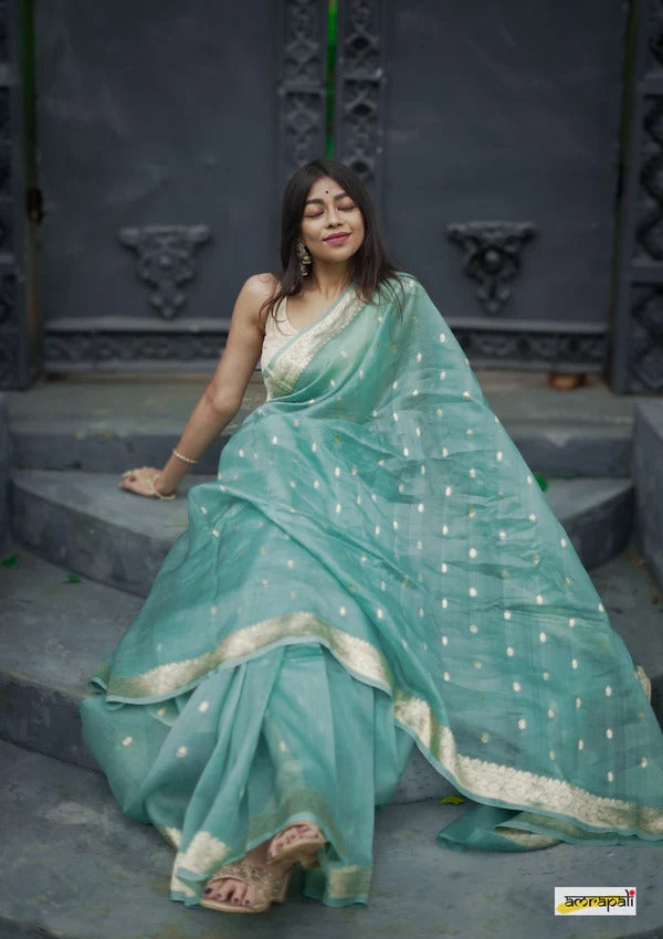 Elegant Banarasi Silk Saree with Gold Zari Embellishments Sky Blue