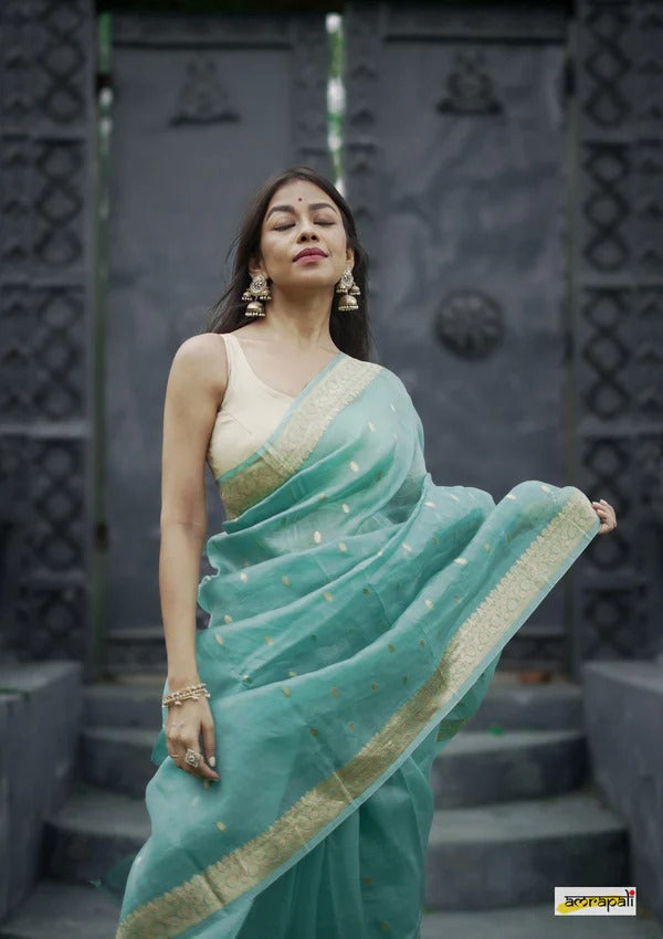 Elegant Banarasi Silk Saree with Gold Zari Embellishments Sky Blue