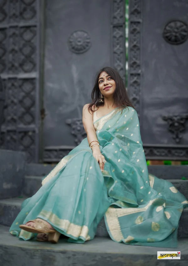 Elegant Banarasi Silk Saree with Gold Zari Embellishments Sky Blue