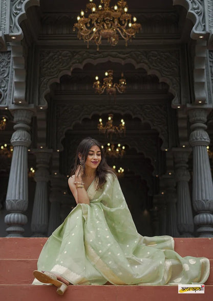 Elegant Banarasi Silk Saree with Gold Zari Embellishments Pista Green
