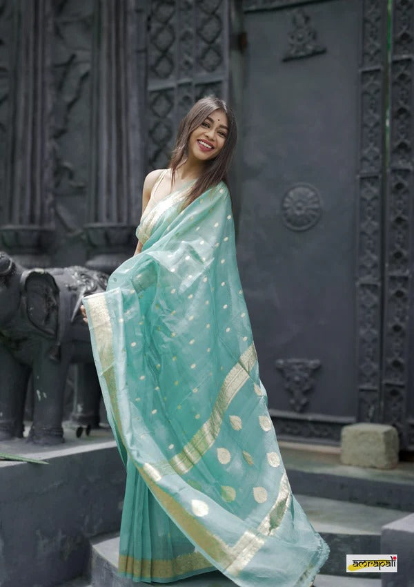 Elegant Banarasi Silk Saree with Gold Zari Embellishments Sky Blue