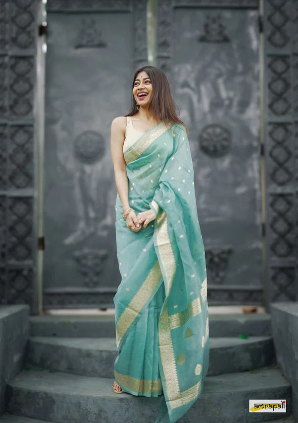 Elegant Banarasi Silk Saree with Gold Zari Embellishments Sky Blue