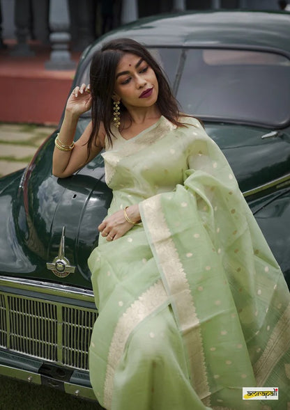 Elegant Banarasi Silk Saree with Gold Zari Embellishments Pista Green