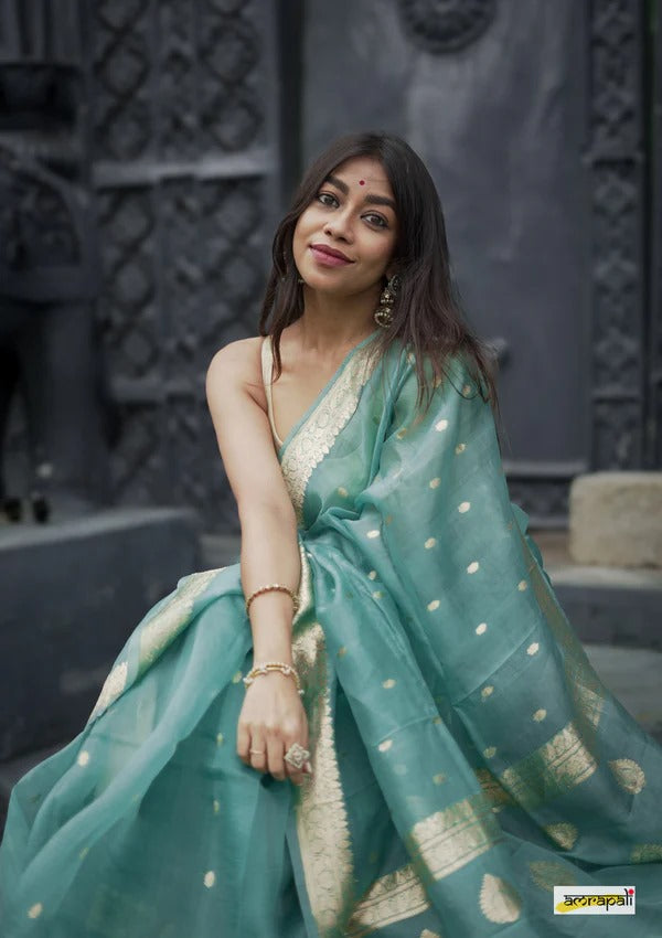 Elegant Banarasi Silk Saree with Gold Zari Embellishments Sky Blue