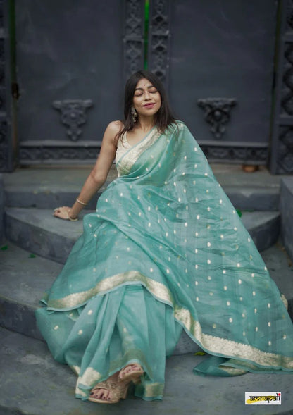 Elegant Banarasi Silk Saree with Gold Zari Embellishments Sky Blue