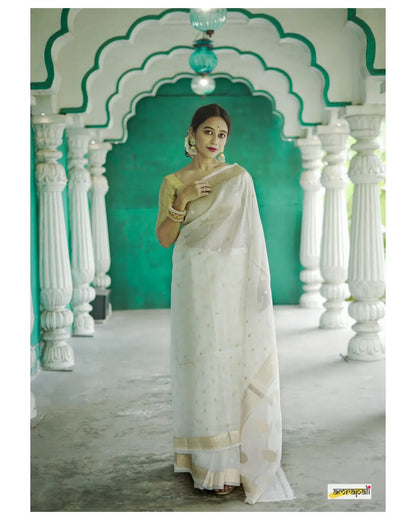 Elegant Banarasi Silk Saree with Gold Zari Embellishments White