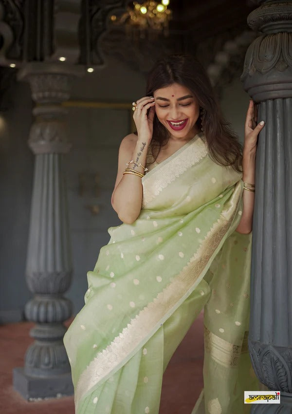 Elegant Banarasi Silk Saree with Gold Zari Embellishments Pista Green