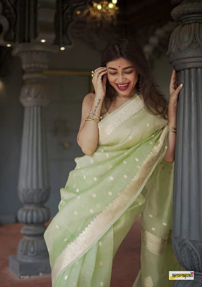 Elegant Banarasi Silk Saree with Gold Zari Embellishments Pista Green
