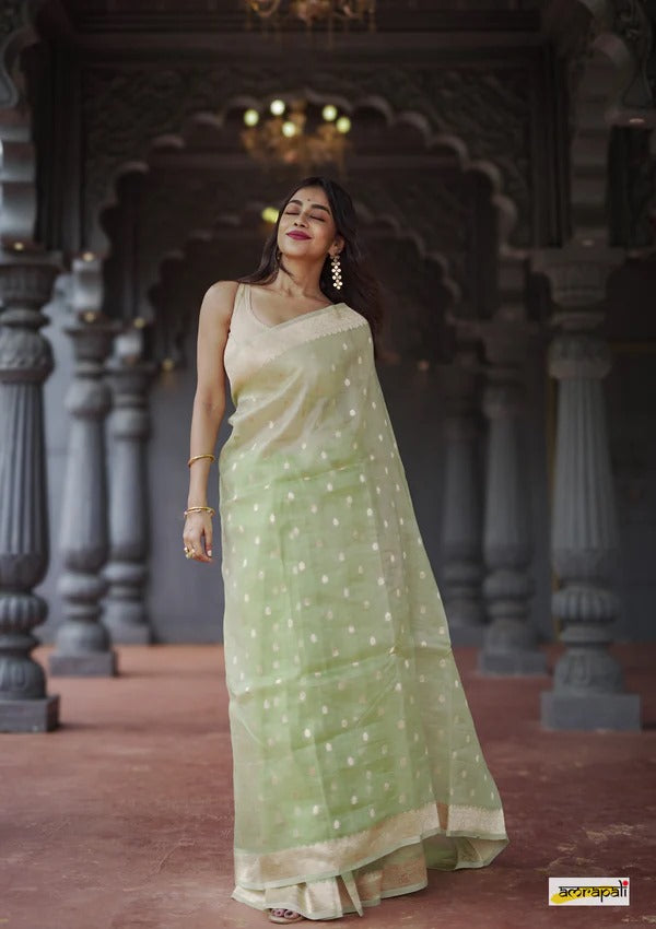 Elegant Banarasi Silk Saree with Gold Zari Embellishments Pista Green