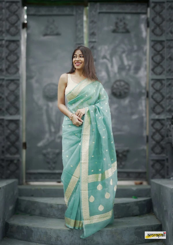 Elegant Banarasi Silk Saree with Gold Zari Embellishments Sky Blue