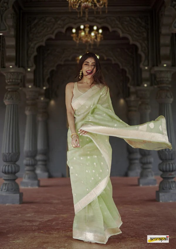 Elegant Banarasi Silk Saree with Gold Zari Embellishments Pista Green