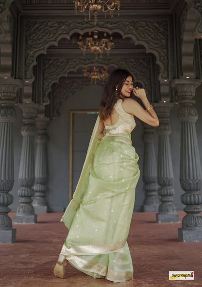 Elegant Banarasi Silk Saree with Gold Zari Embellishments Pista Green