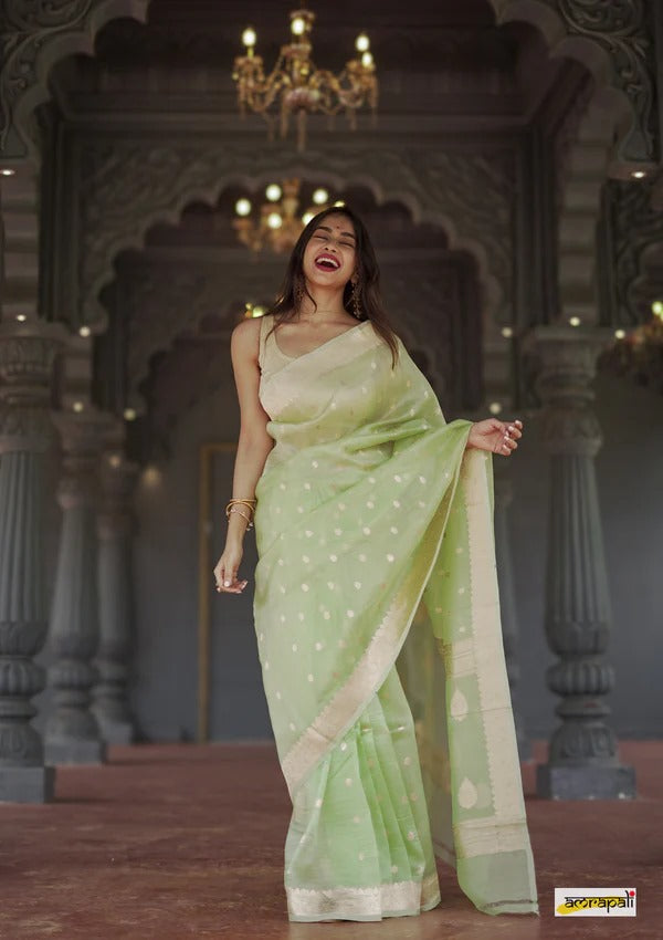 Elegant Banarasi Silk Saree with Gold Zari Embellishments Pista Green