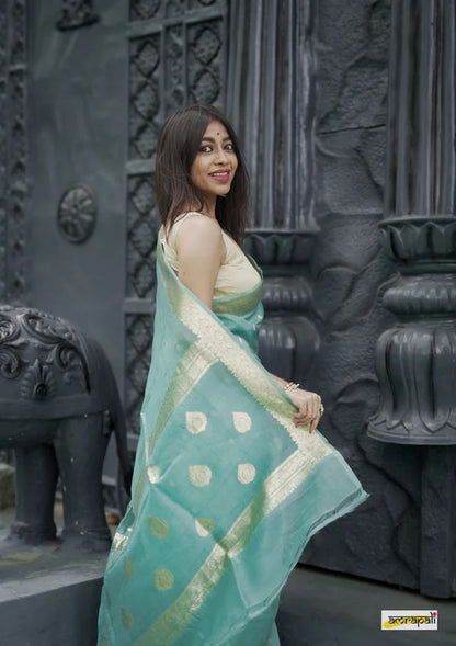 Elegant Banarasi Silk Saree with Gold Zari Embellishments Sky Blue