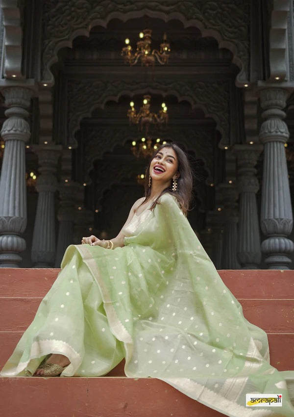 Elegant Banarasi Silk Saree with Gold Zari Embellishments Pista Green