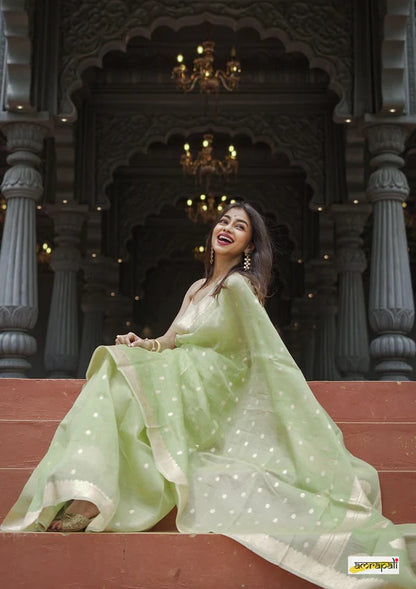Elegant Banarasi Silk Saree with Gold Zari Embellishments Pista Green