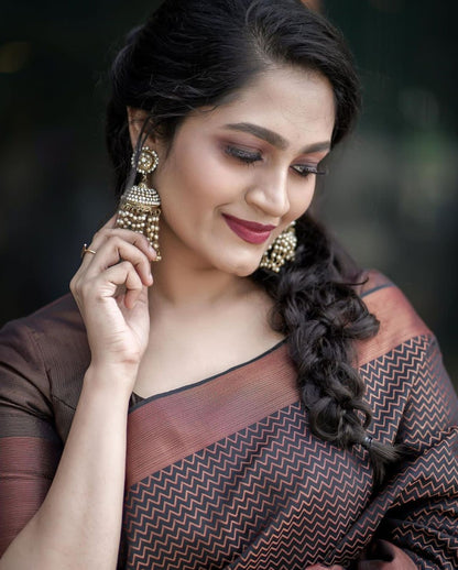 Designer Silk Saree with Gorgeous Zari Embroidery