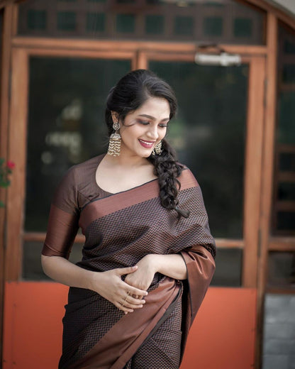 Designer Silk Saree with Gorgeous Zari Embroidery