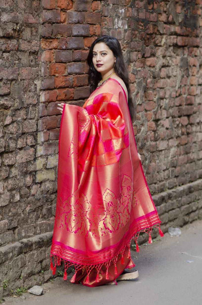 Latest Trend – Beautiful Jacquard Saree