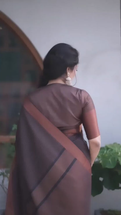 Designer Silk Saree with Gorgeous Zari Embroidery